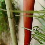 公寓 La -logement Atypique 牟罗兹