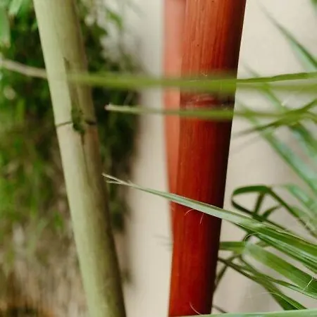 Appartamento La -logement Atypique Mulhouse